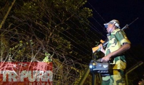 Smuggling continues in the fencing and the non-fencing border area Smuggling continues in the fencing and the non-fencing border area